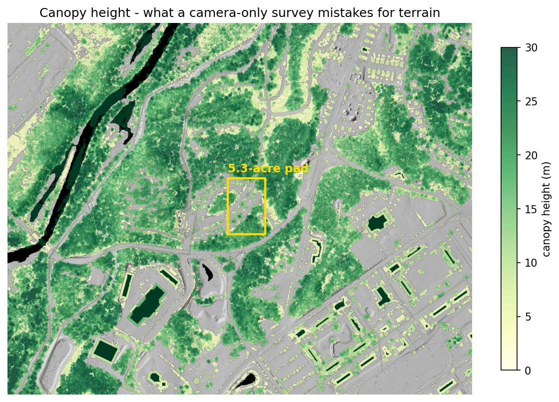 Canopy height model