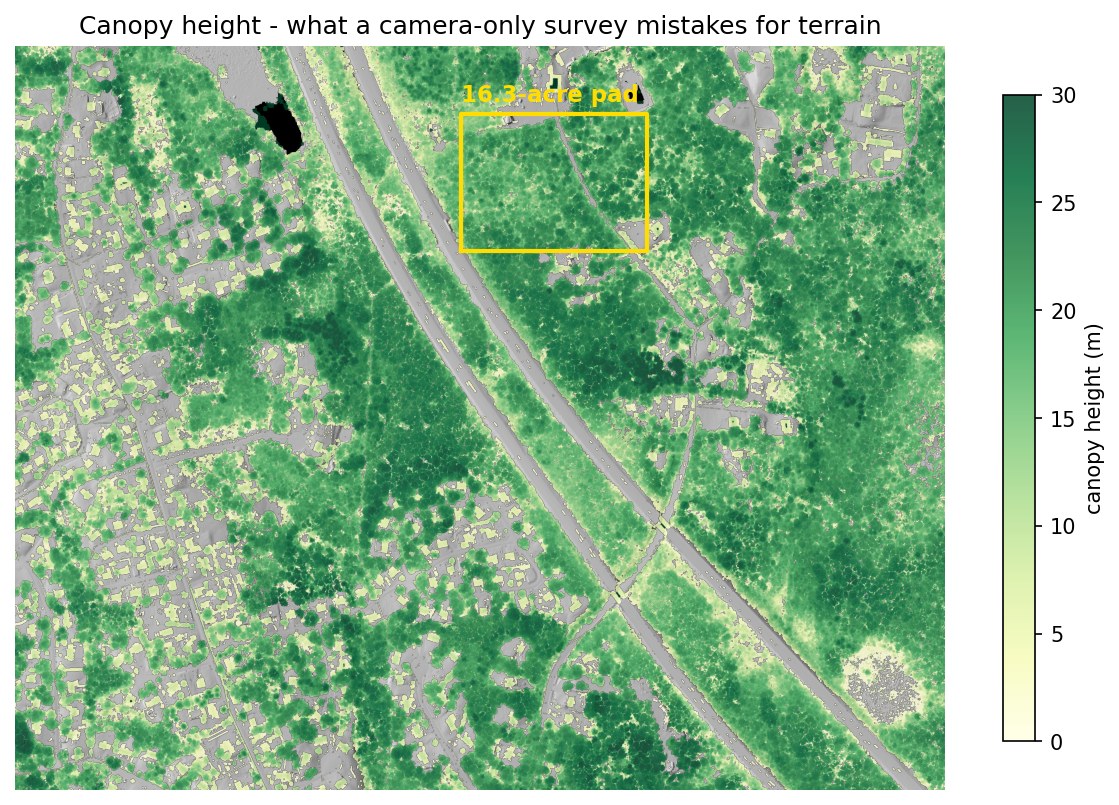 Canopy height model