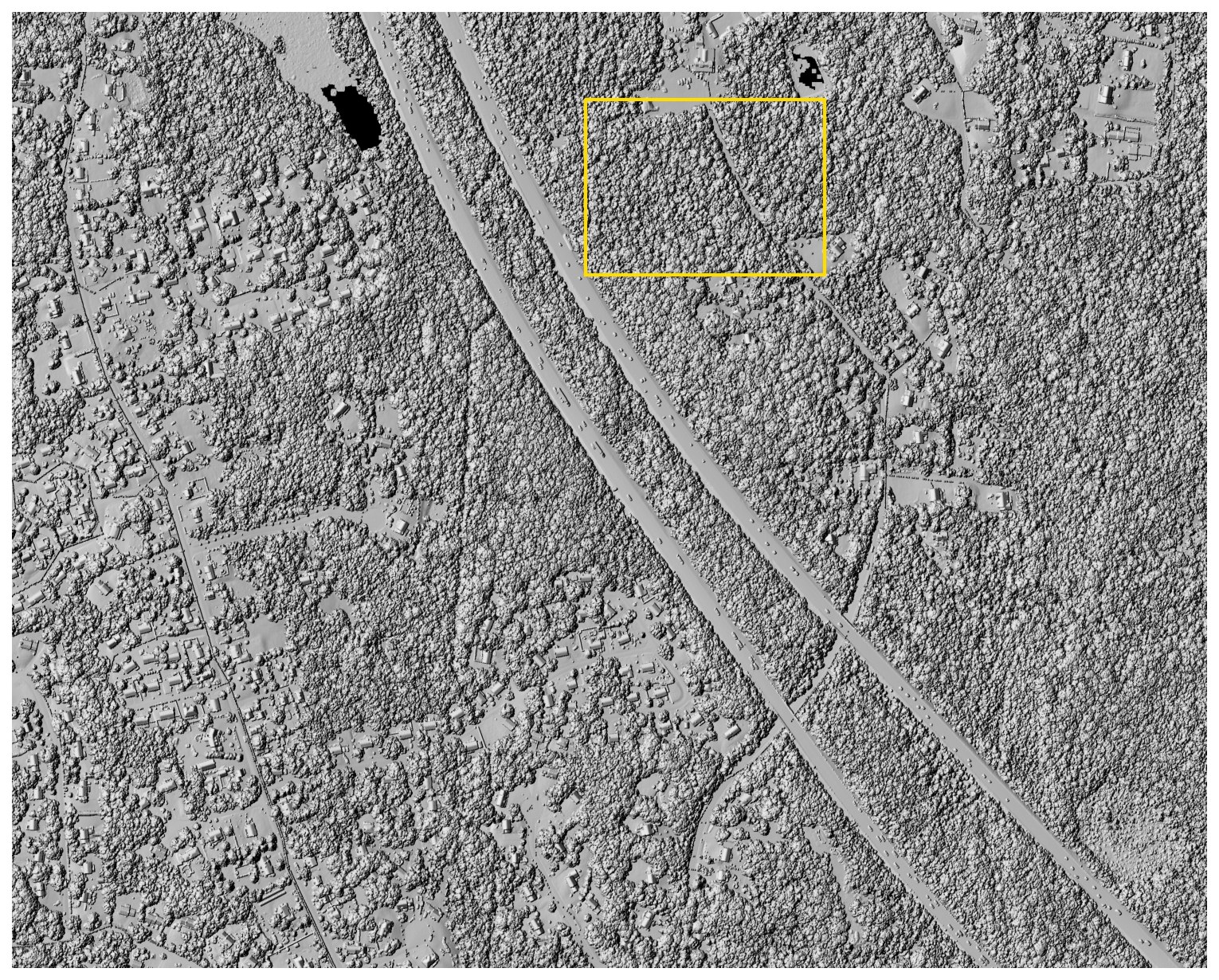 Canopy surface hillshade