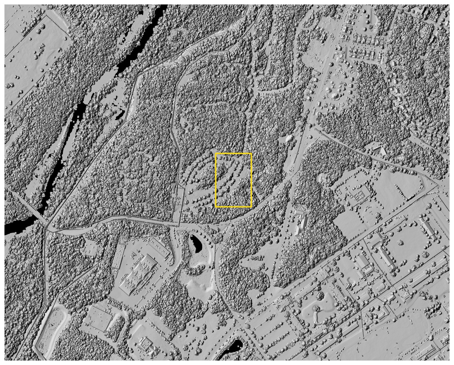 Canopy surface hillshade