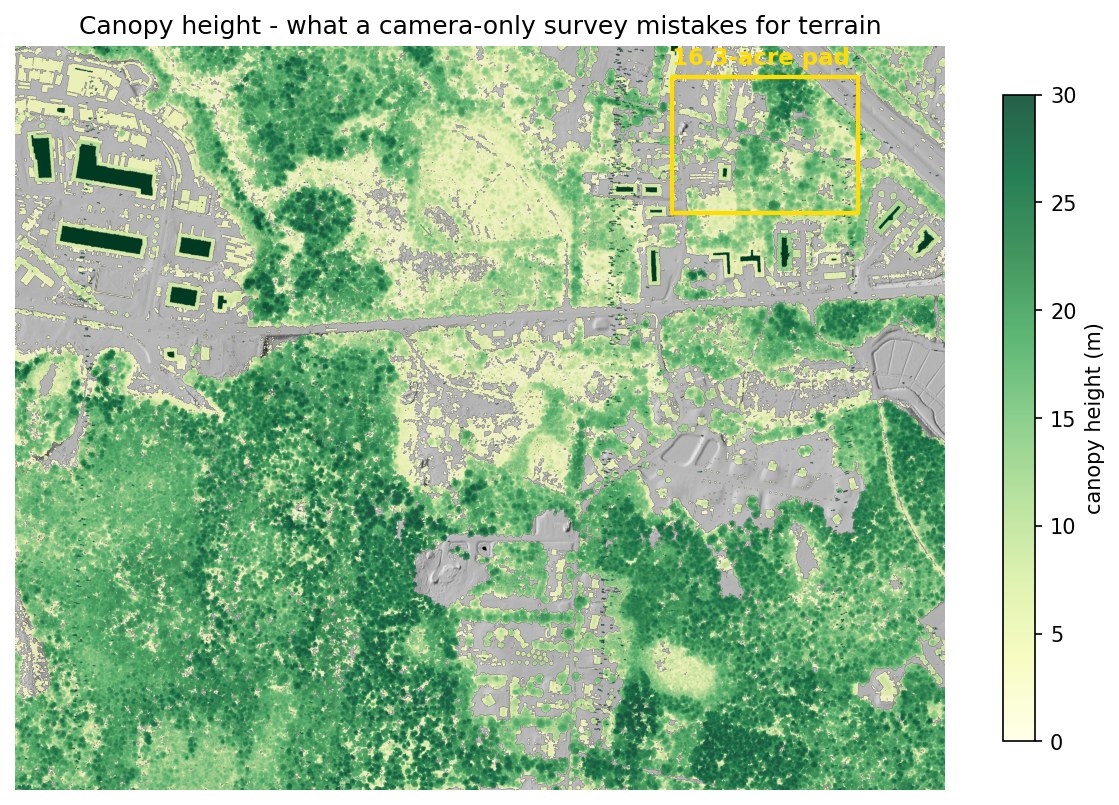 Canopy height model
