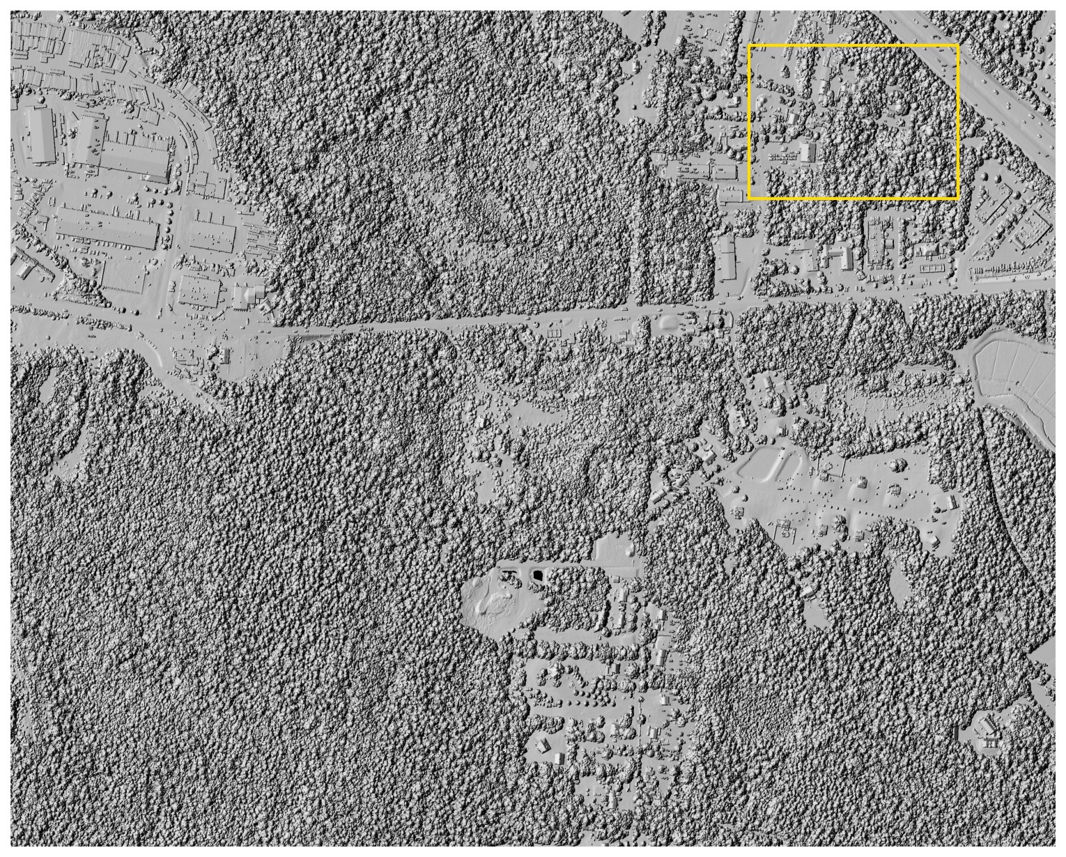 Canopy surface hillshade